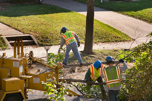 Grass Overseeding in De Leon Springs, FL