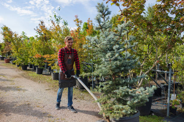 De Leon Springs, FL Tree Care  Company